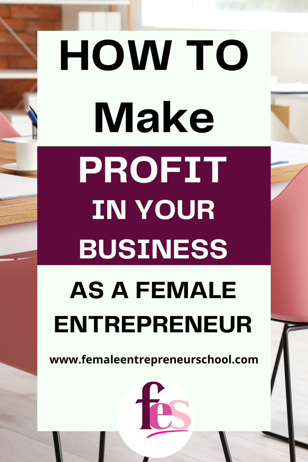 MAKE PROFIT IN YOUR BUSINESS AS A FEMALE ENTREPRENEUR, WITH A PINK OFFICE BACKGROUND PICTURE