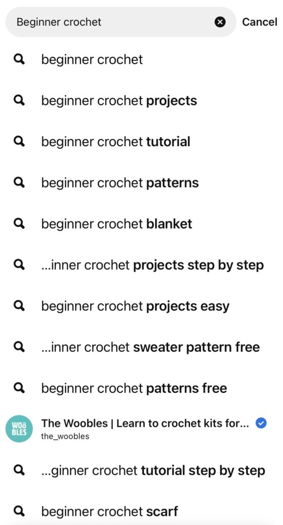 Image showing search results for the term "beginner crochet" from a Pinterest search.