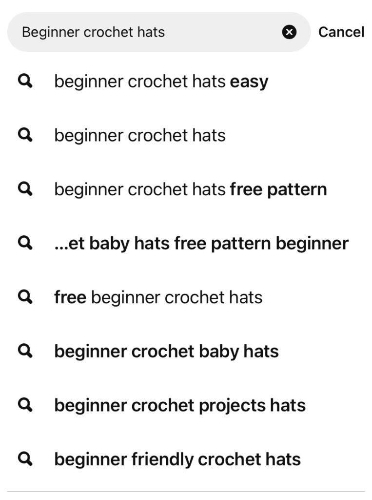 Search term used in a Pinterest search "beginner crochet hats" and the results that pinterest populated.